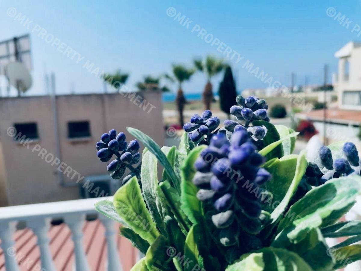 Lysia Sea-View Apartment 拉纳卡 外观 照片